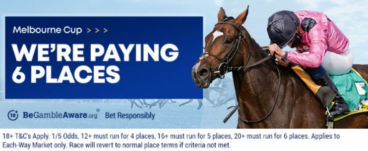 Boylesports Six Places Melbourne Cup small image